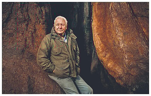 Sir David Attenborough