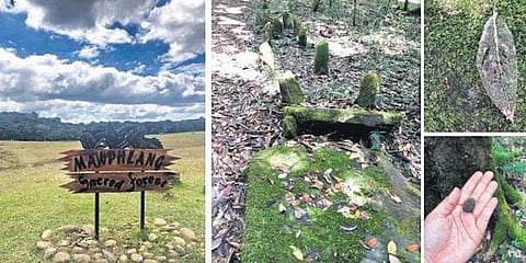 (Clockwise from above) Mawphlang Sacred Grove, monoliths, a giant leaf, rudraksh