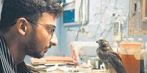 A still from ‘All That Breathes’, which follows the life of Mohammad Saud and Nadeem Shehzaad