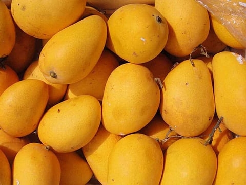 Representational picture of mangoes