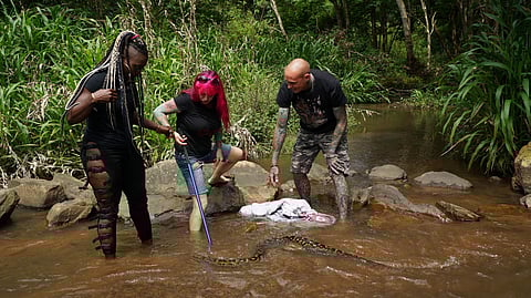 Snakes in the City Season 8 featuring Simon Keys and Siouxsie Gillett is now streaming on Nat Geo