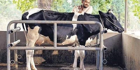 A still from 'Palthu Janwar'