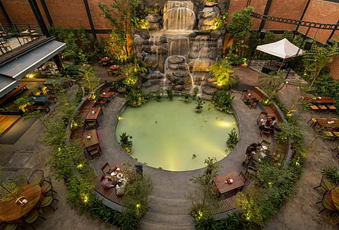 Longboat Brewing Co.