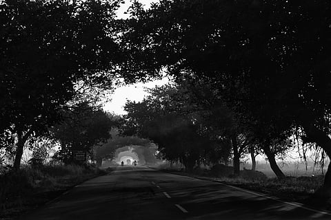 Artwork from exhibit