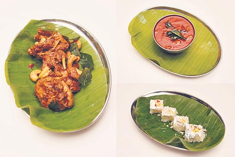 Pics by Aswhin Prasath