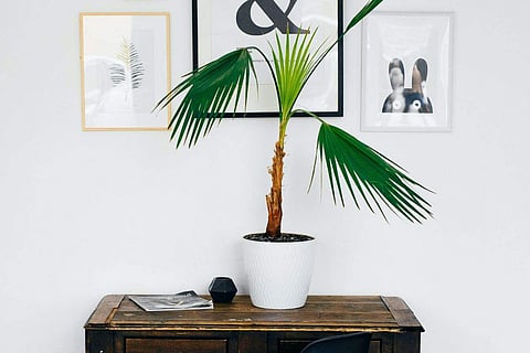 Image for representational purpose only