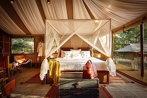 This luxe eco glamping stay in Nagaland will make your Hornbill Festival trip memorable
