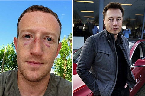 Mark Zuckerberg (L), Elon Musk (R)