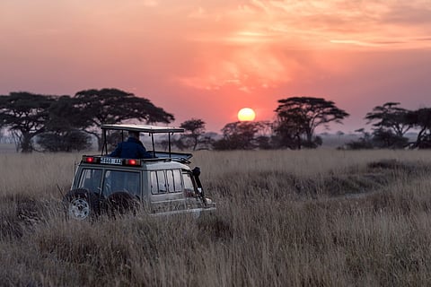 Sunset In Kajiranga National Tiger reserve