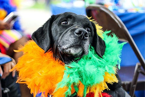 Image for representational purpose only