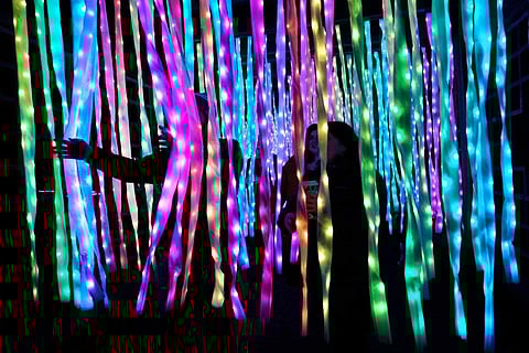 Visitors to the Chicago Botanic Garden's Lightscape holiday experience of light and music pass through the 'Electric Ribbon Tunnel,' created by Culture Creative