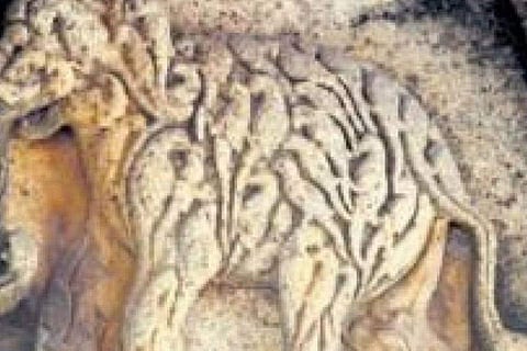 An elephant made of parrots