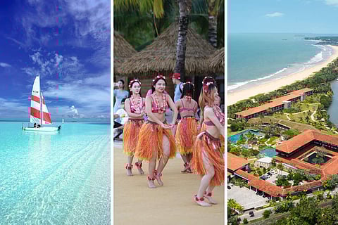 Photo Credit: Pexels