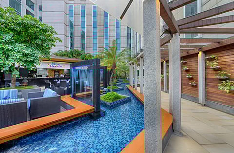 Blue Terrain restaurant