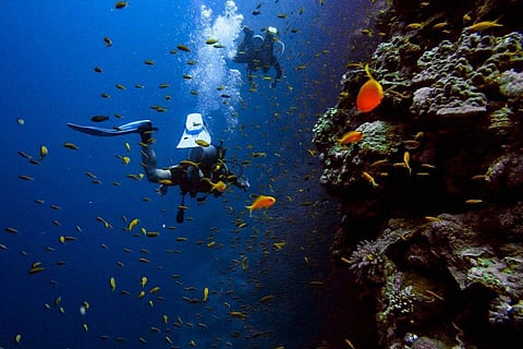 Try out scuba diving with your loved one this V-Day