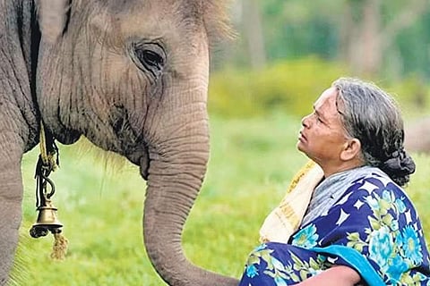 A still from the documentary 'The Elephant Whisperers'