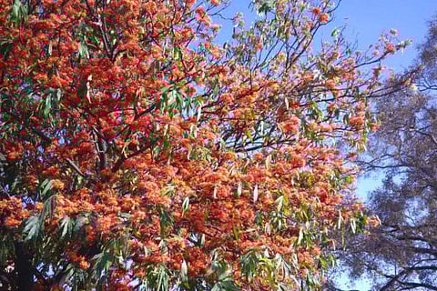 Picture used for representative purposes