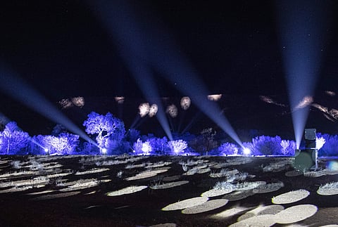 Performance at Parrtjima