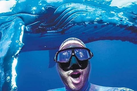 Get close to humpback whales in Tonga