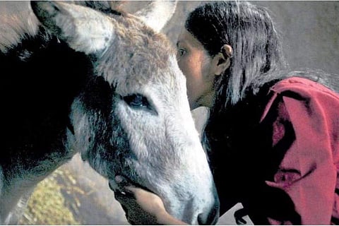 A still from Nehemich