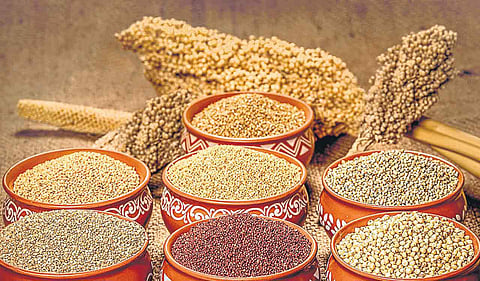 In frame: Representative image of Millets