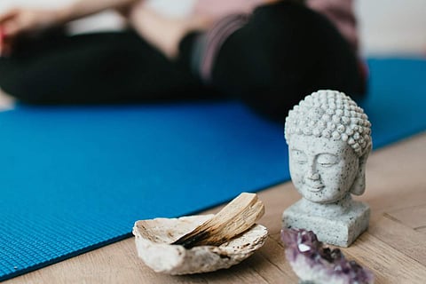 Photo Credits: Pexels