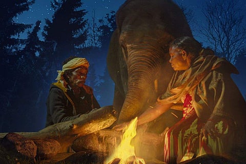 These films seek to expand the knowledge of how people and the natural environment are interconnected