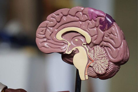 Image source: Unsplash