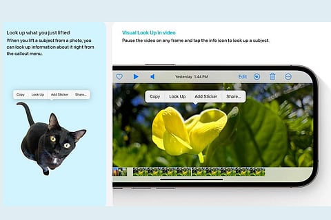 Apple iOS 17 offers new 'Look up' option in image cutout feature