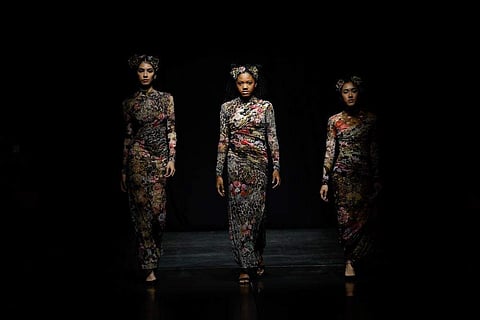 Rocky Star's Midnight Bloom