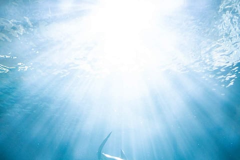 Image Credits: Pexels