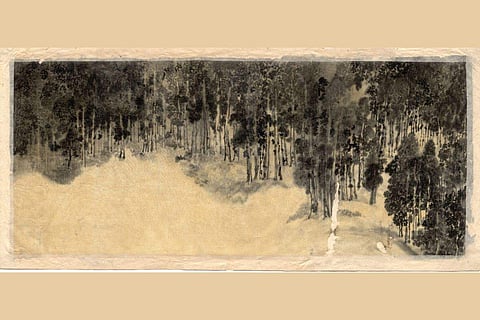 Picture used for representative purposes