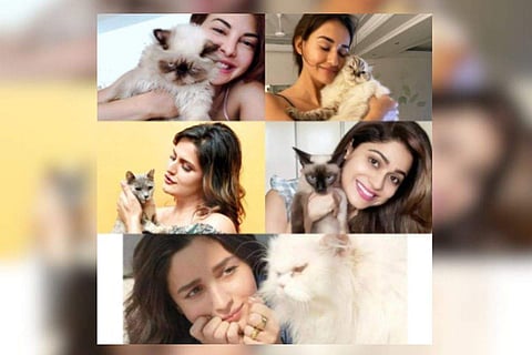 Bollywood ladies and their furry friends