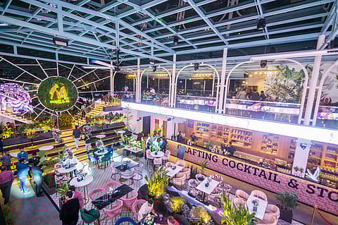 Interiors of Macaw by Stories