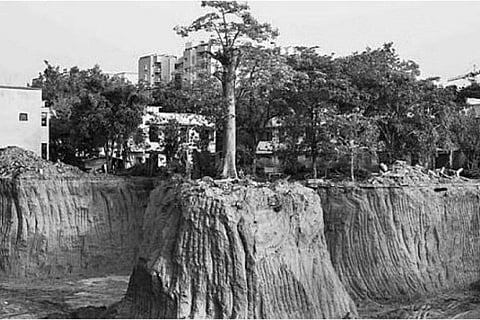A photograph by Emmanuel Lenain