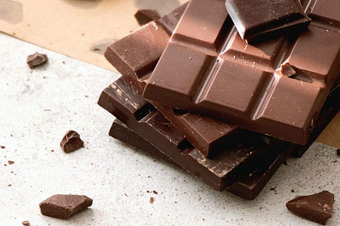 Embarking on a chocolate tour is an exceptional way to experience the magic of chocolate in its various forms