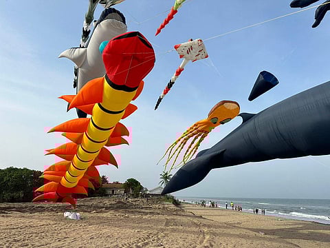 At the International Kite Festival