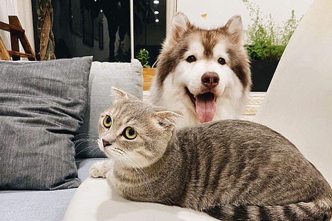 Image for representational purpose only