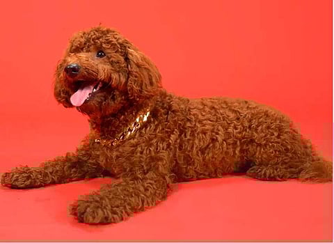 Image Credits: Instagram