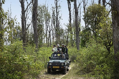 AJRS Guided Safaris