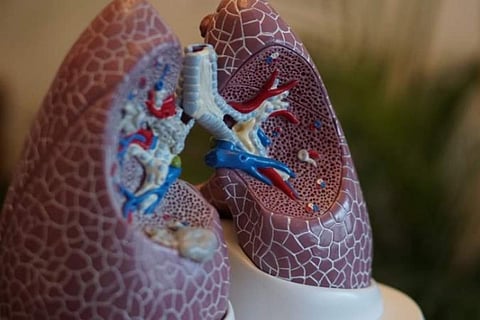 Scientists develop robot to maneuver through living lung tissue