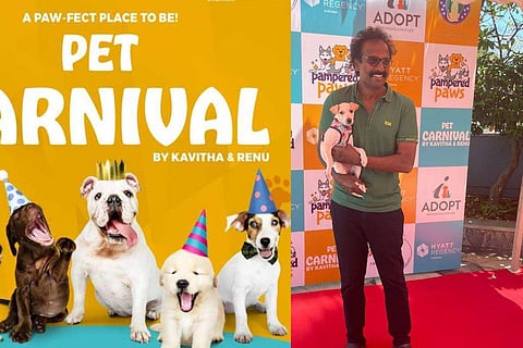 Attendees can explore shopping stalls, participate in adoption and donation drives