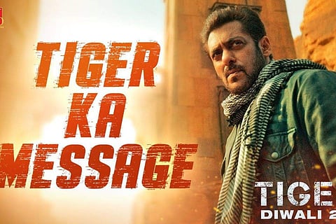 In frame: Salman Khan in Tiger 3