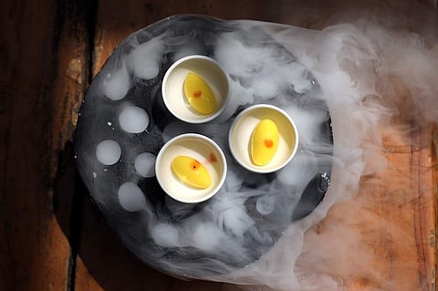 WhatsApp_Image_2023-08-31_at_11