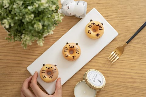 Image for representational purpose only