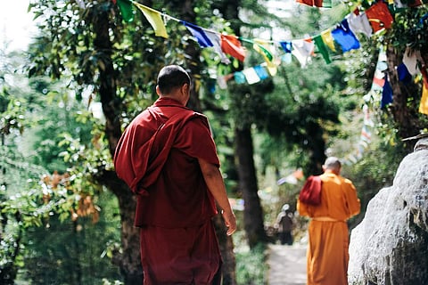 Photo Credits: Pexels