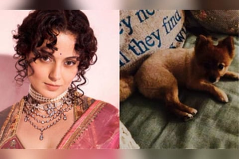 Kangana Ranaut and her pet dog Pluto
