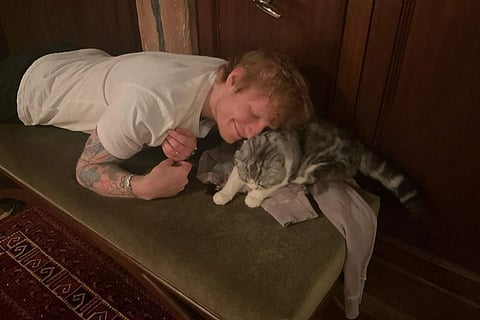 Pic shared by Ed Sheeran in December | Pic: Instagram/@teddysphotos