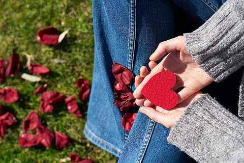 Photo Credits: Pexels