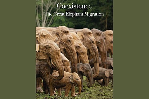 Coexistence: The Great Elephant Migration